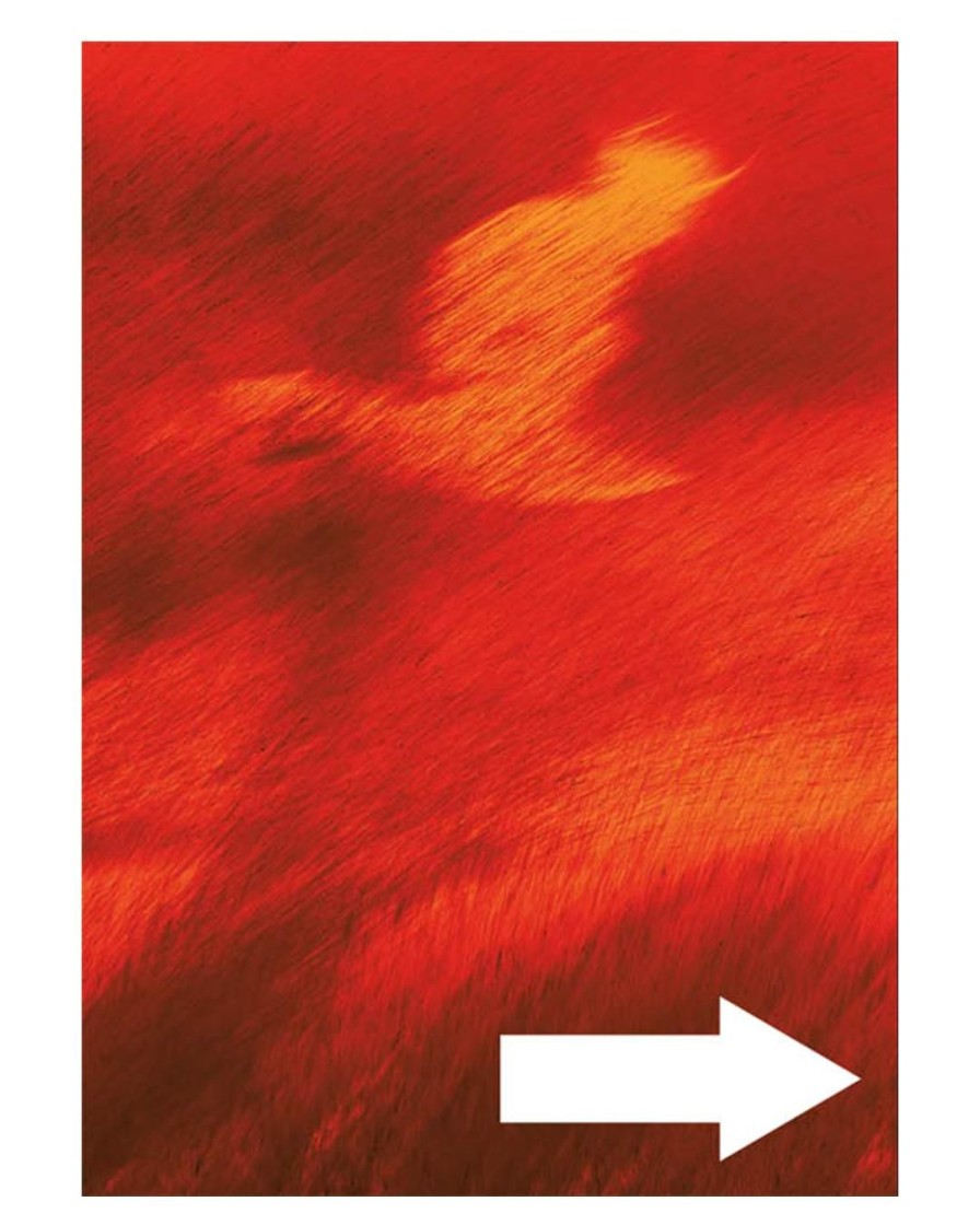 Interior Books & Magazines | Acid Magazine Issue 5